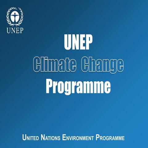 Unep Climate Change Programme