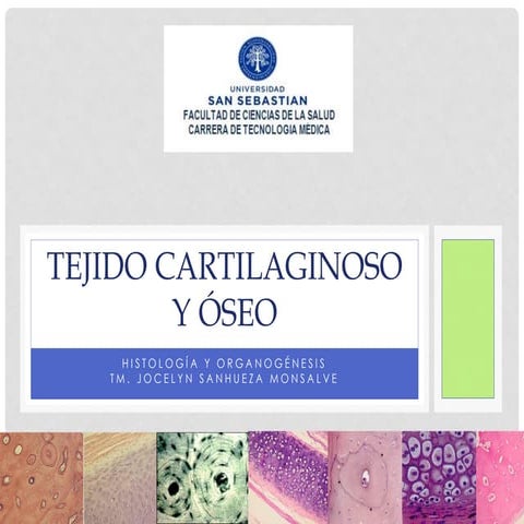 Unidad 4,tejido cartilaginoso y óseo
