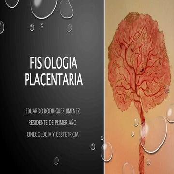 Unidad funcional feto placentaria