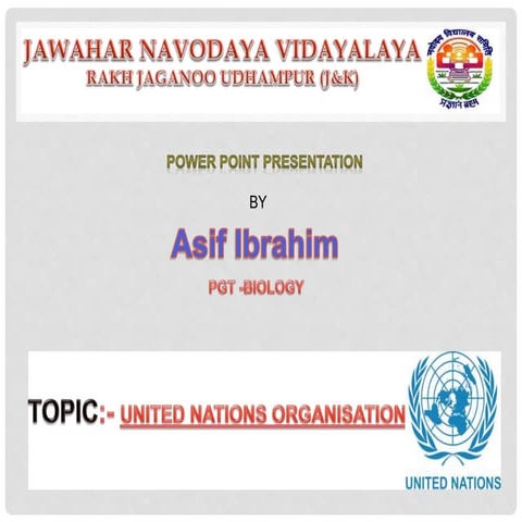 united nation organisation