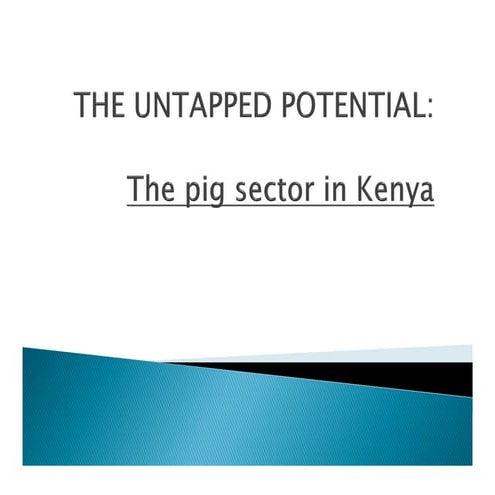 Season Four A: Untapped Potential - Pig Sector In Kenya.