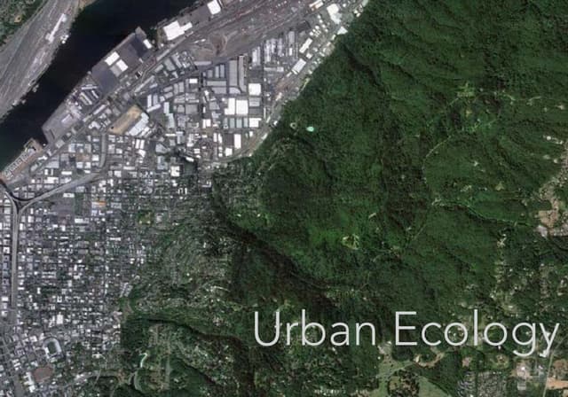 Urban ecology - zach nilsson