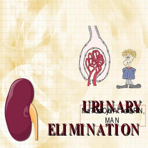 Urinary Elimination