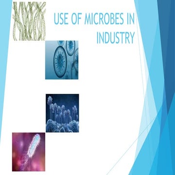 useofmicrobesiniiiiiiiiiiiiindustry.pptx
