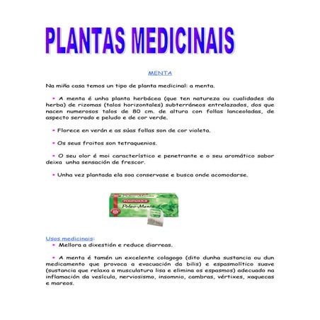 Uxía vecino.plantas medicinais