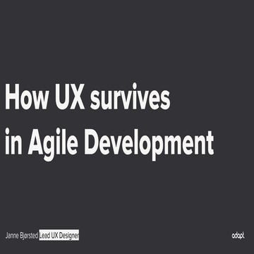 UX Camp 2017 – How UX survives in agile development