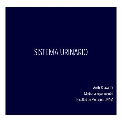 Histología de aparato urinario