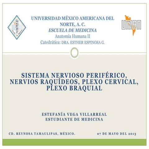 Anatomía;Sistema nervioso periférico, nervios raquídeos, plexo cervical, plex...