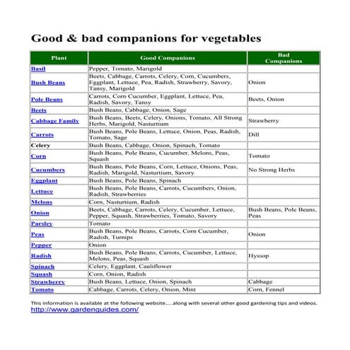 Vegetable companions