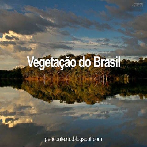 Vegetação do brasil