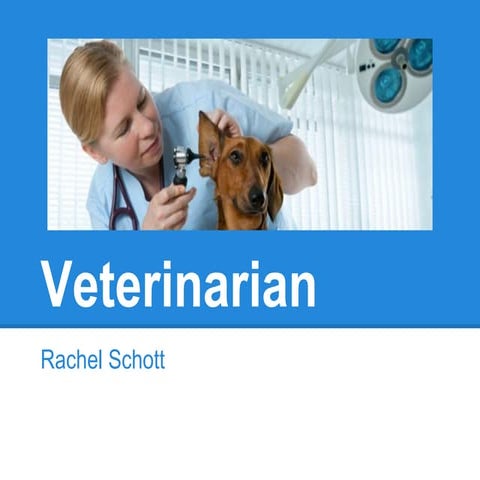 Veterinary slideshow (presentation of career)