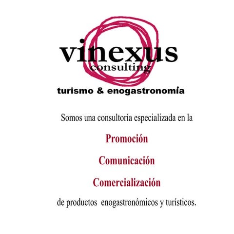 Vinexus Consulting