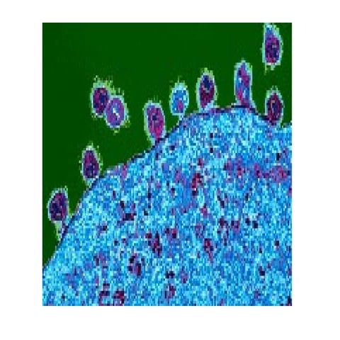virus.ppt resumo e introdução sobre material de virus