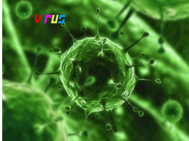 Virus a1 