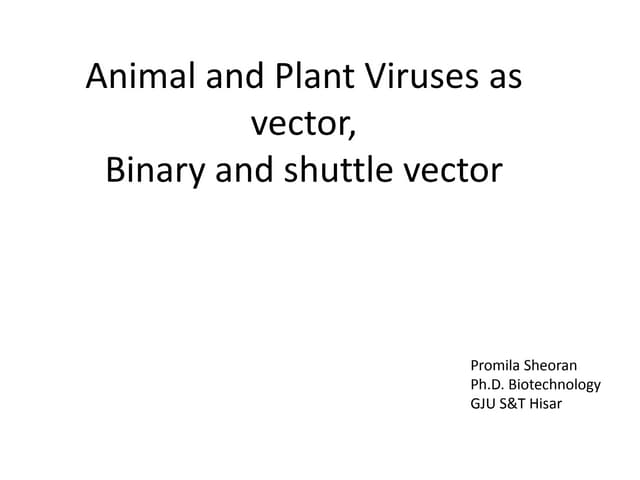 Viruses as vector, binary, shuttle vector