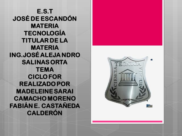 Bucle For Visual Basic