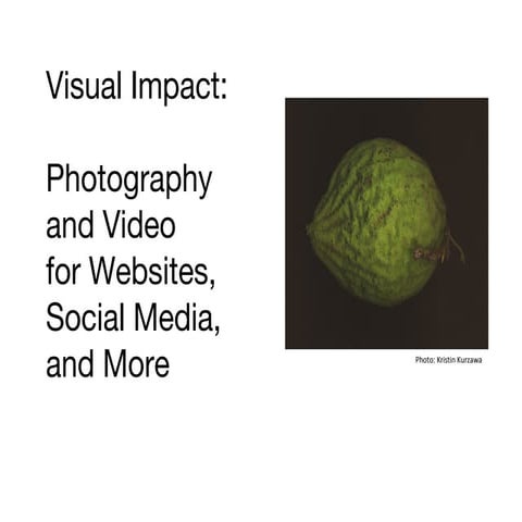 Visual Impact: Photography and Video for Websites, Social Media and More