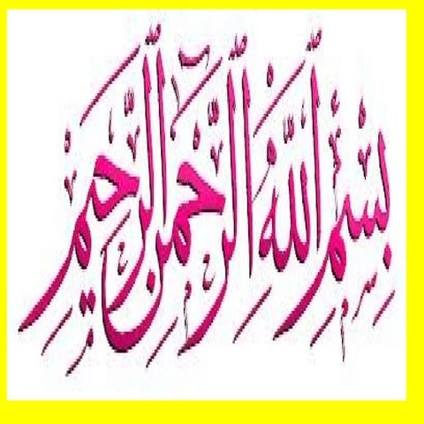 VITAMIN B3   NIACIN MUHAMMAD MUSTANSAR