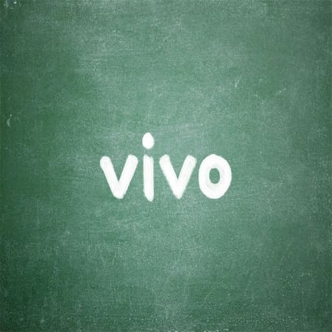 Vivo - Programa Trainee 2011