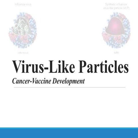 Virus Like Particle as Vaccines