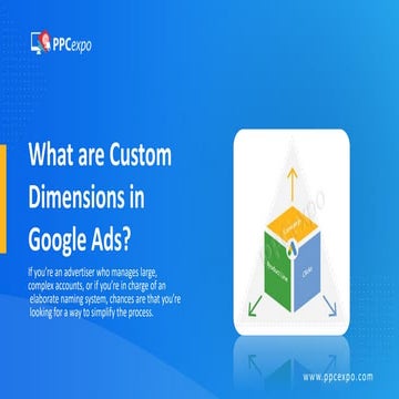 What are Custom Dimensions in Google Ads