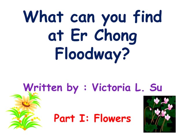 What can you find at er chong floodway~flowers