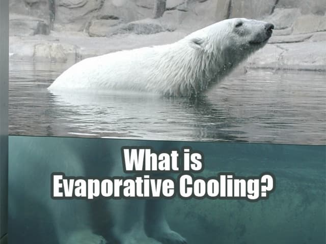 What Is Evaporative Cooling