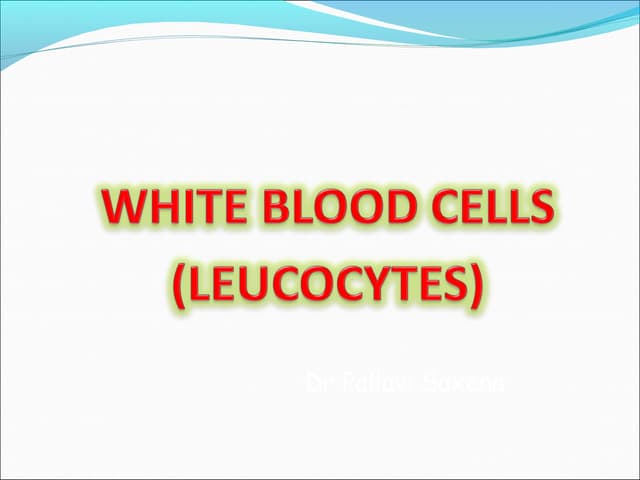 White blood cells 