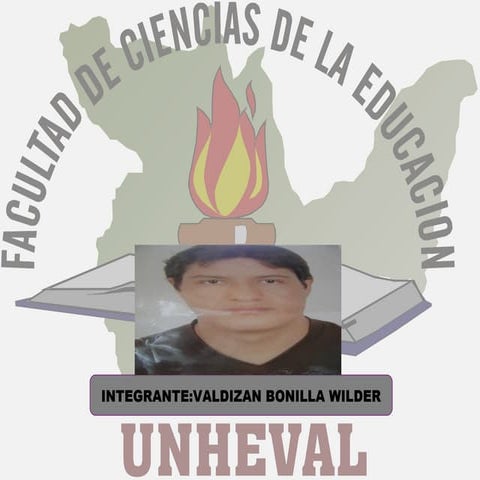 Wilder valdizan bonilla 