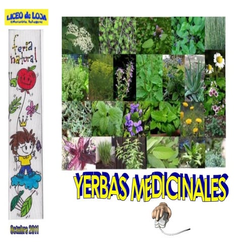 Yerbas medicinales (pp tminimizer)