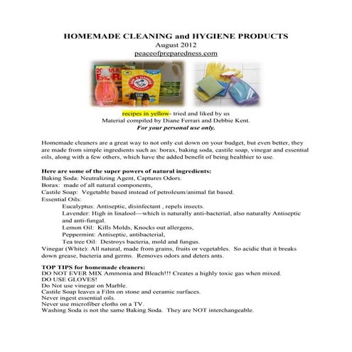 Homemade Cleaning & Hygiene Products - A Guide for Making your own Cleaners 
