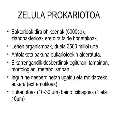 Zelula prokariotoa