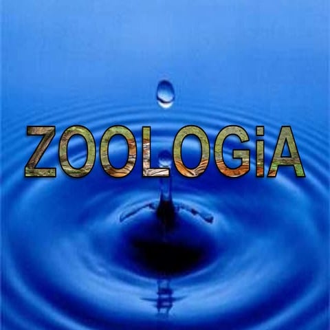 Zoologia