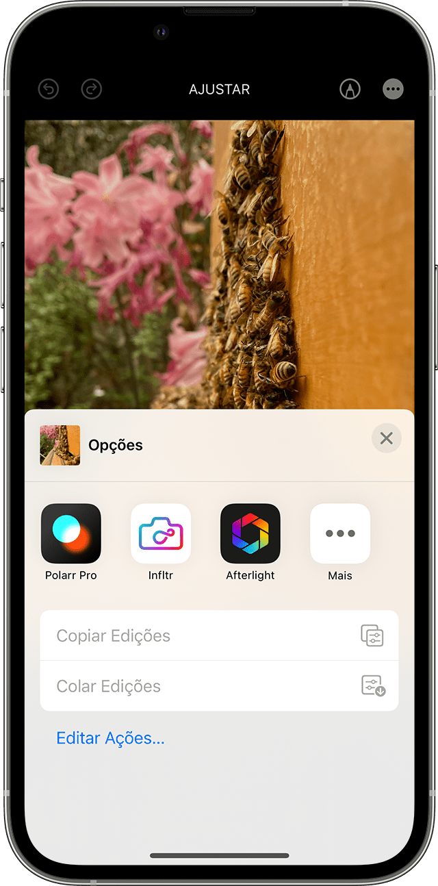 ios-16-iphone-13-pro-photos-edit-more-options-more