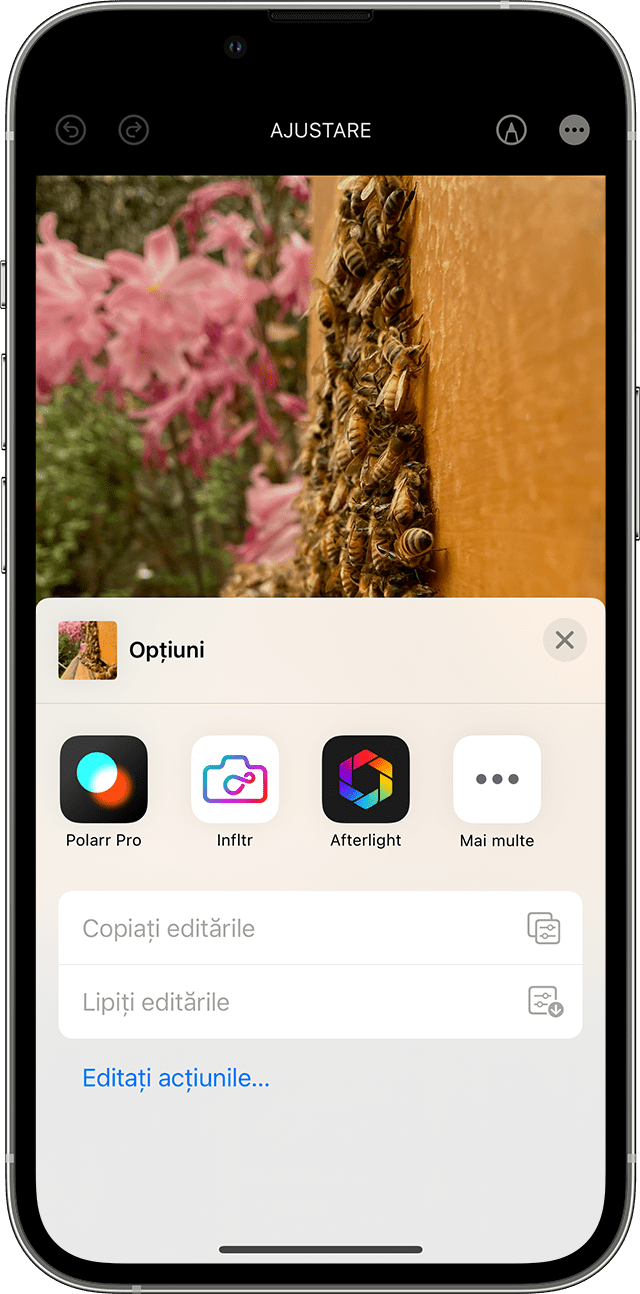 ios-16-iphone-13-pro-photos-edit-more-options-more