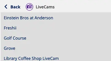 Live camera feeds access