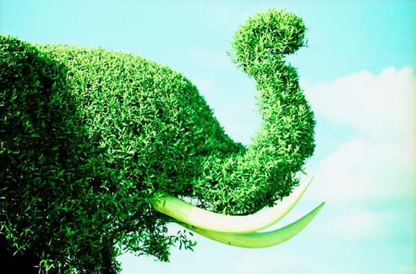 origin_2547882891.jpg Origin 2547882891