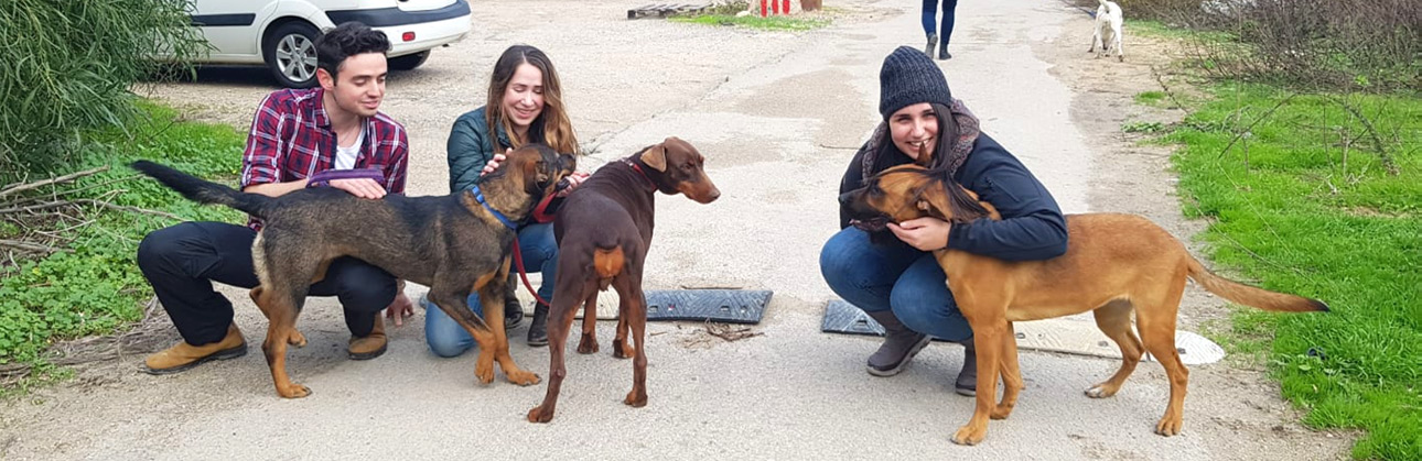 פעילויות התנדבותיות למען הקהילה