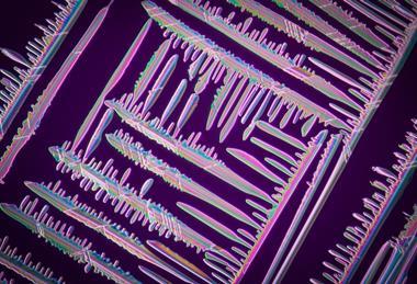 A colourful micrograph of ammonium nitrate crystals refracting light