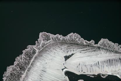 A photograph of lead nitrate crystals under polarised light