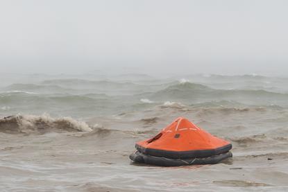 The life raft cover image