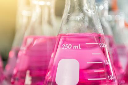 Pink solution in flask
