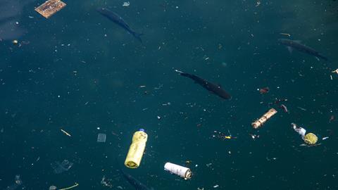 Discarded plastic and other rubbish floating on the surface of water, with fish visible below