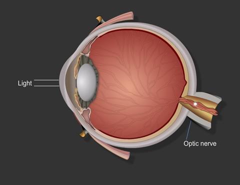the eye