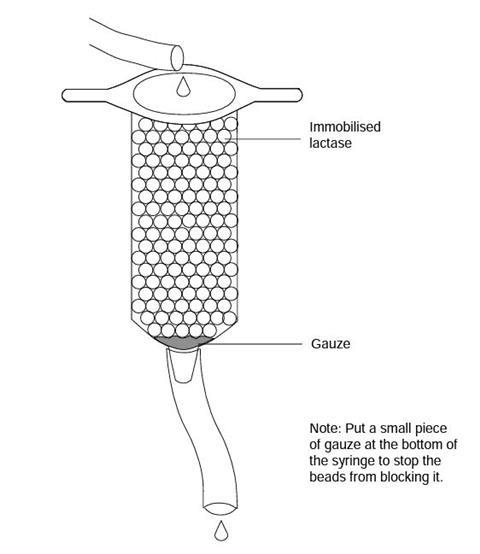 From milk curds to whey diagram