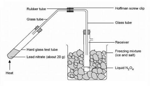 A diagram showing the equipment required for the preparation of dinitrogen tetroxide