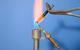 melting point tube image