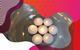 Photo of seven lit tea lights in a glass bowl