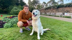 Develop Generative AI Apps Without Writing a Single Line of Code