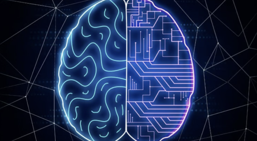 Binary Classification & Explainability for Data Science!